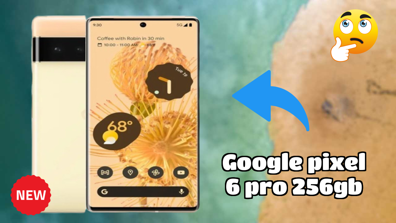 Google Pixel 6 Pro 256GB Camera Quality: 50 MP + 12 MP + 48 MP Rear Camera Photo Review